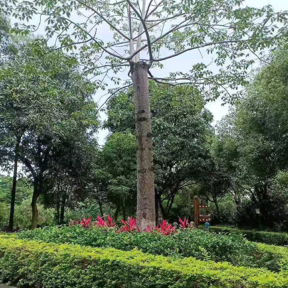 广东免费公益相亲群主