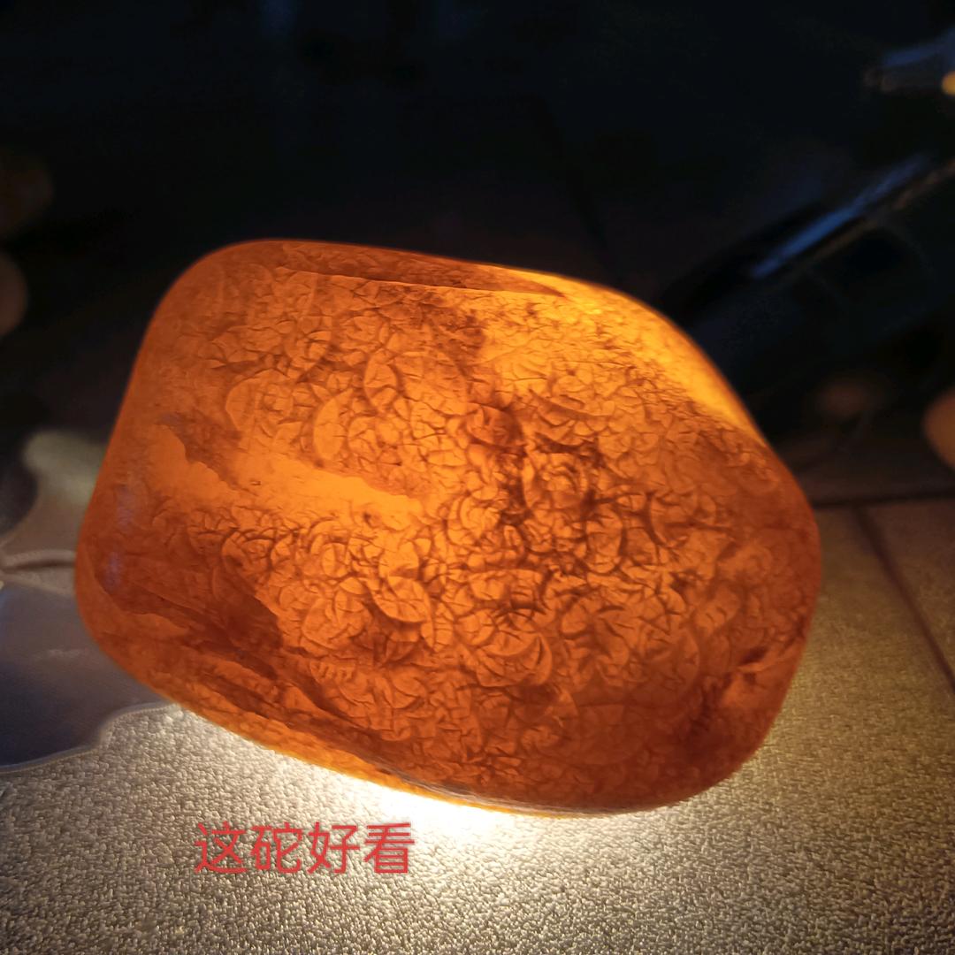双福伟哥