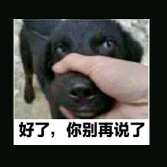 别吵我