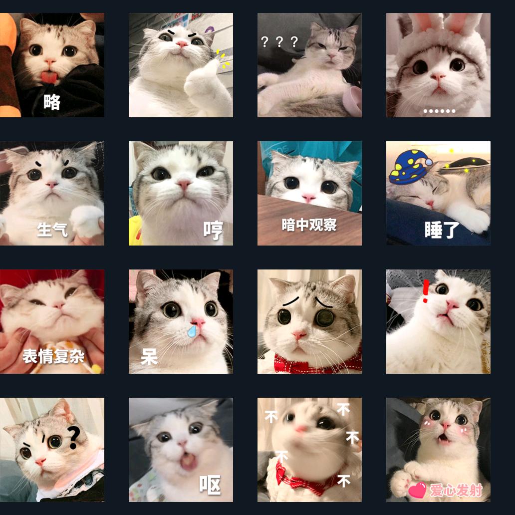 优优