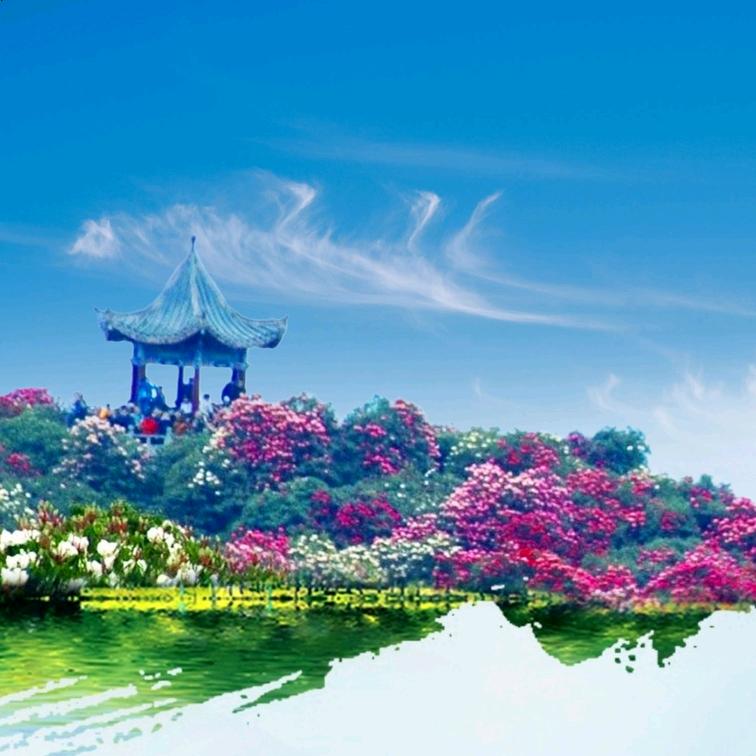 相约毕节
