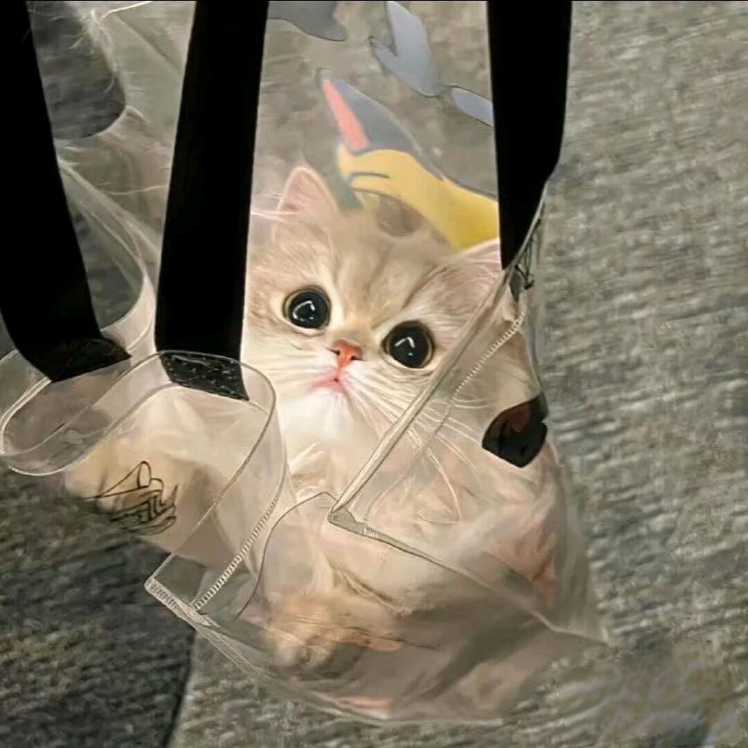 k头像