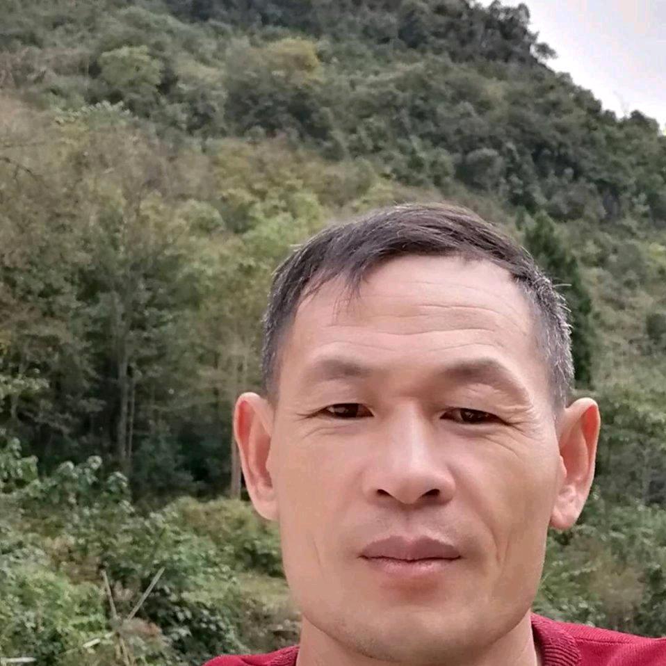 安国兵家饲料种子