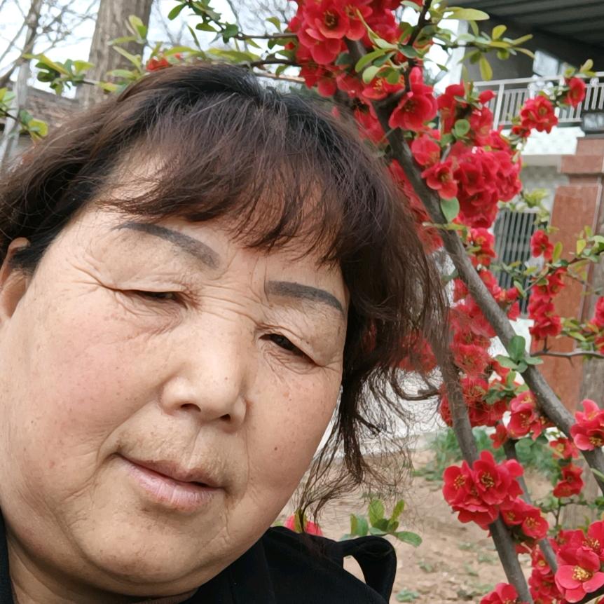 红尖烟雨
