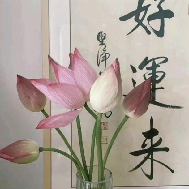小河清清