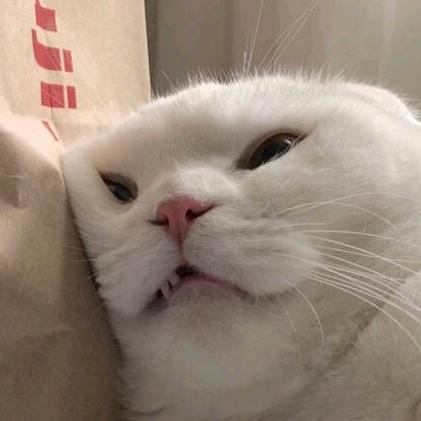 林浪