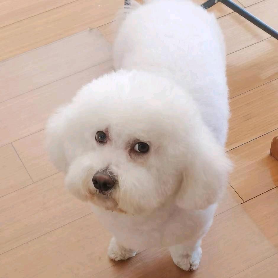 有财