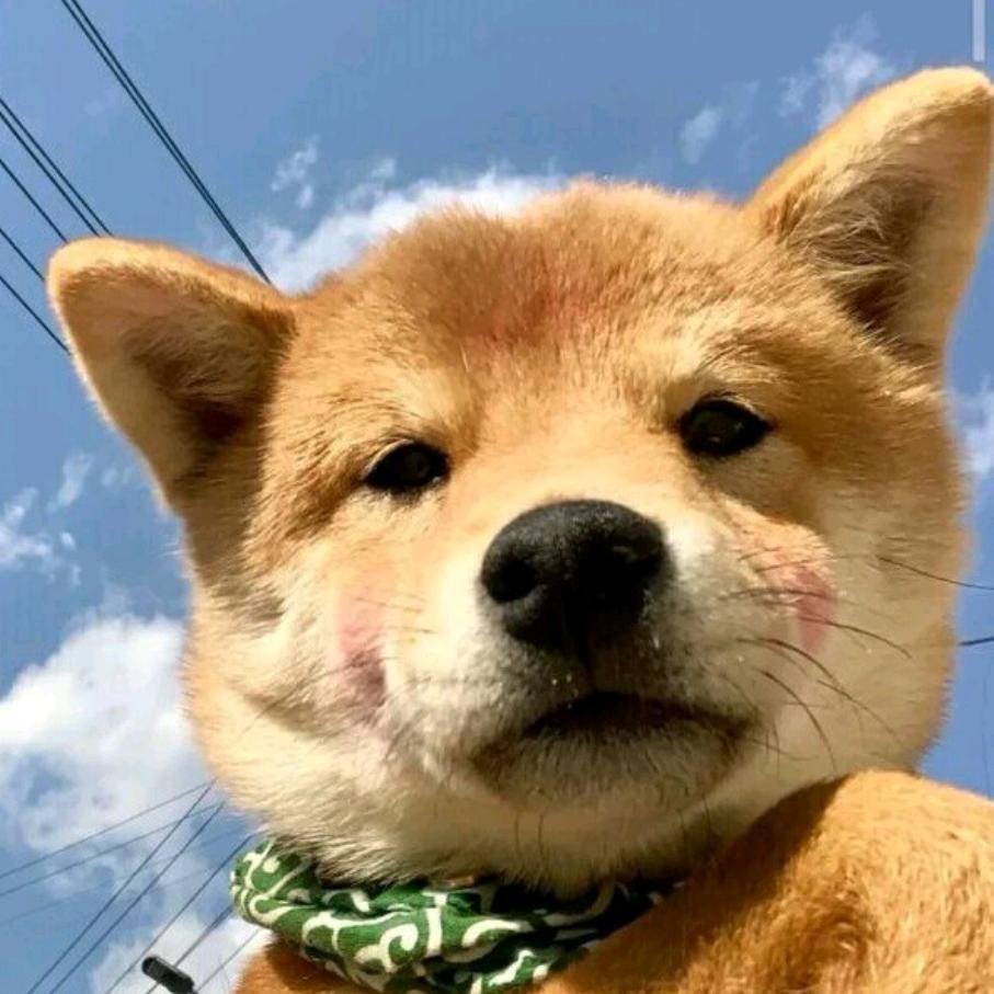 乐观的悲观主义者