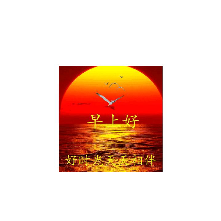 lzygyezx明天更美好