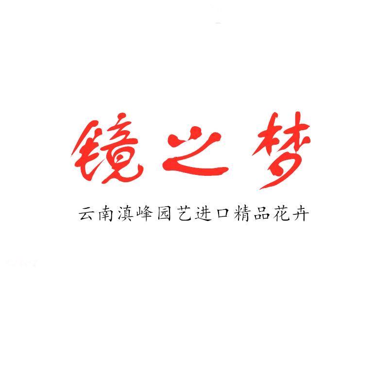 镜之梦家庭园艺