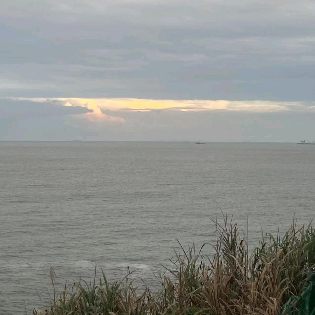 海水依静
