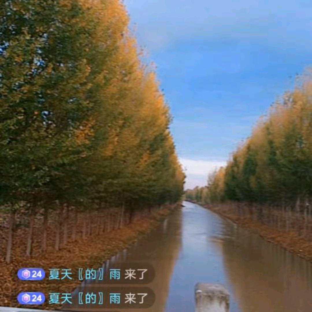 舍……得
