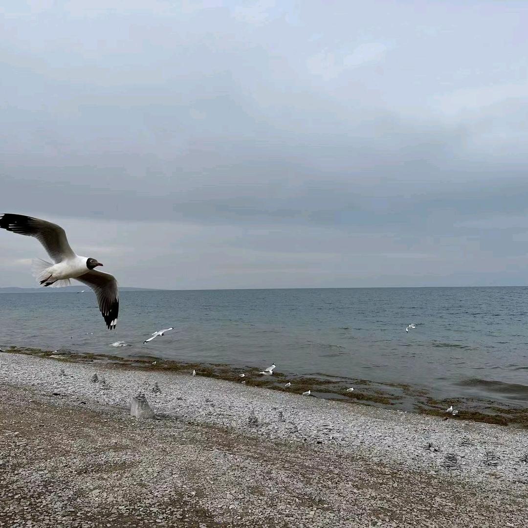 @*🍓唯一真爱*@🍓