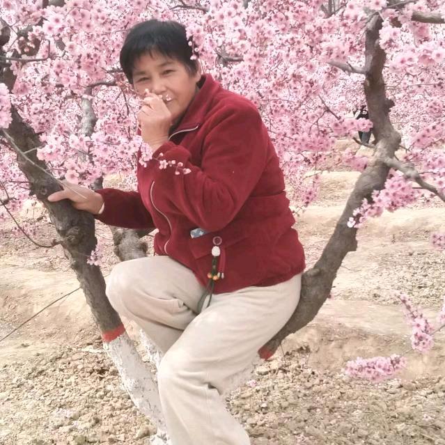 平安👩‍❤️‍💋‍👩是福