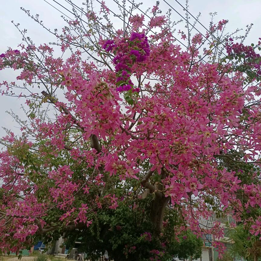 板材石材专业