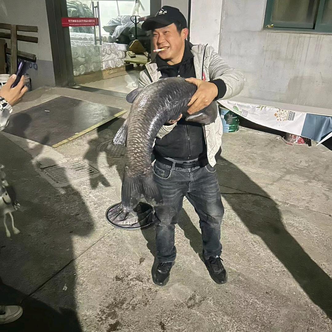兵哥