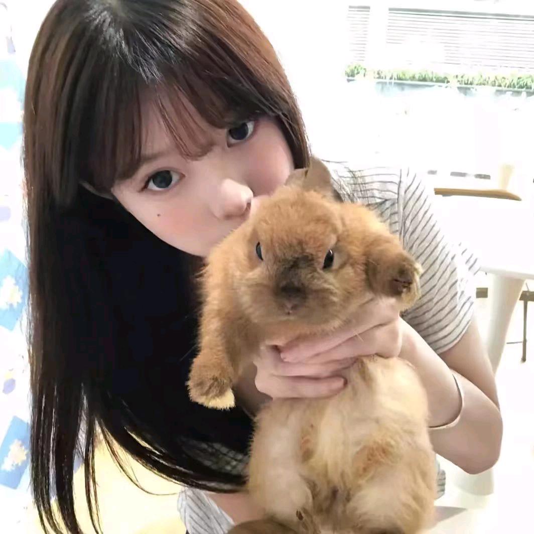 橙子🍧