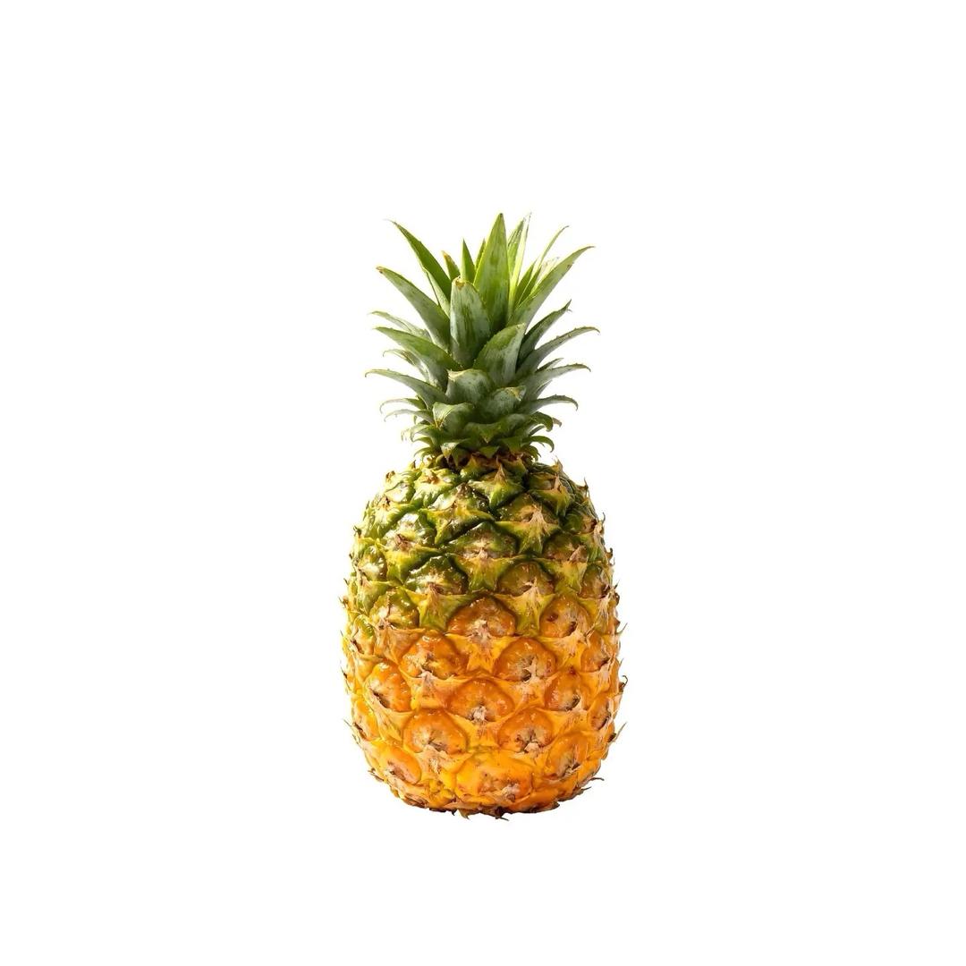 S.S.
