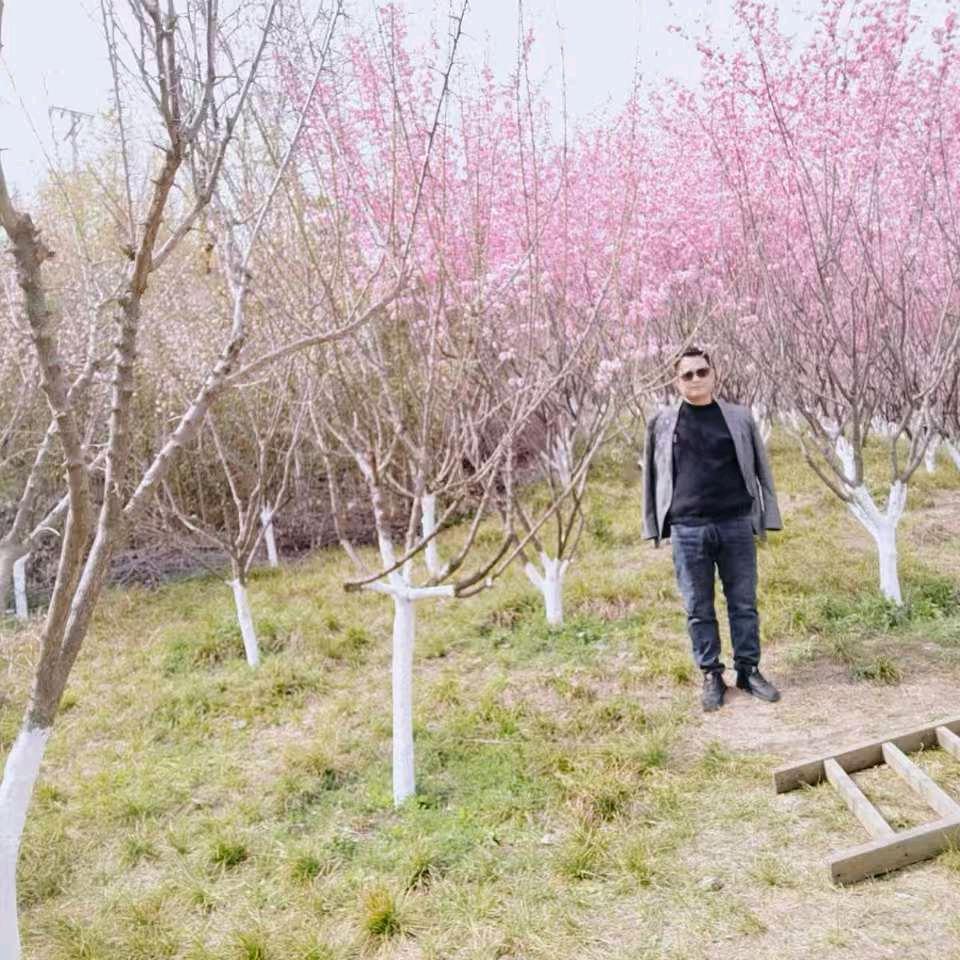 不等花开520🫂