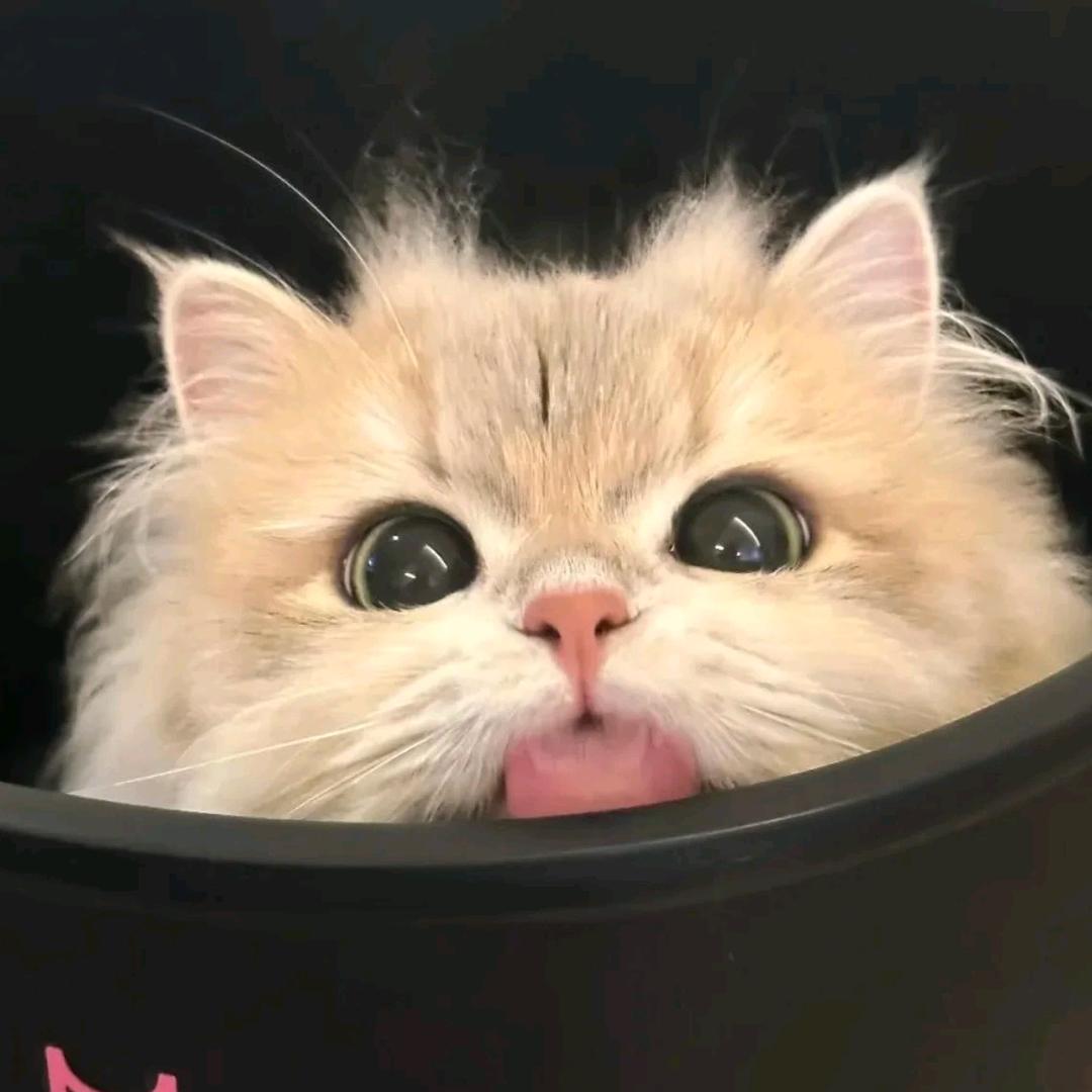 美美有点糊