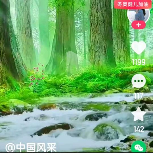 用户绿林人生