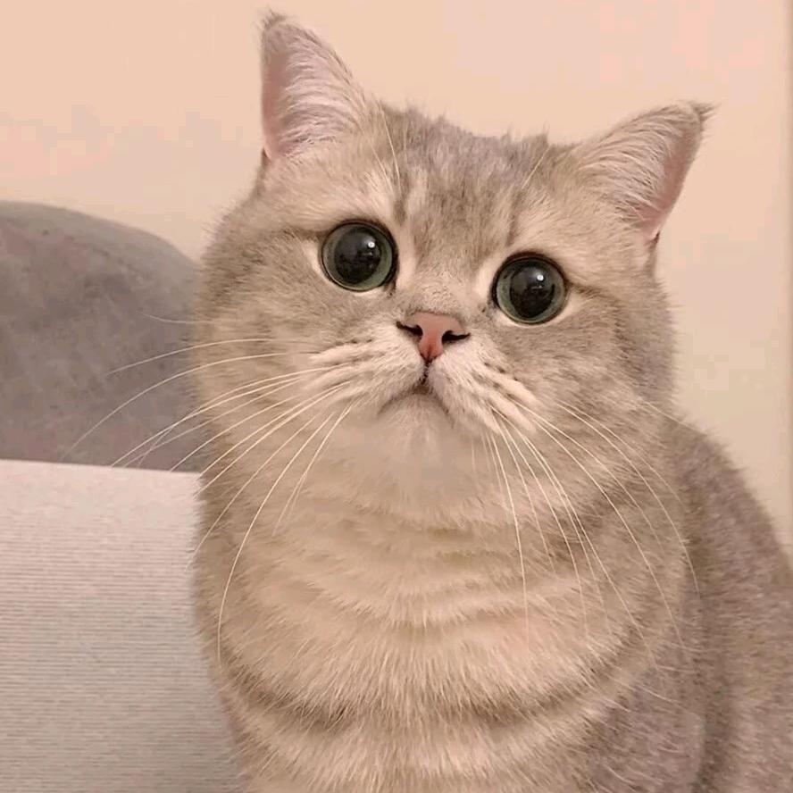 这世间多纷扰阿