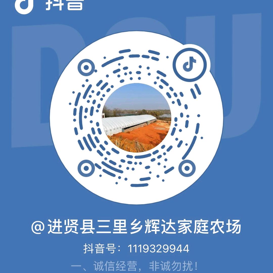 辉达农场农产品