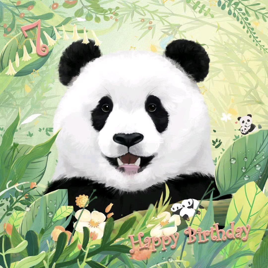 了不起的蔓越煤