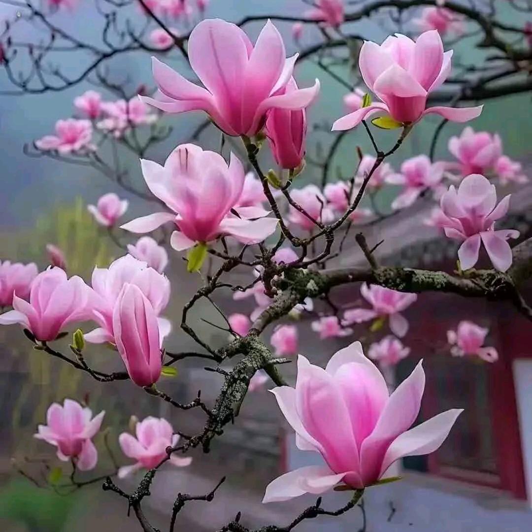 珍惜眼前，活好当下。
