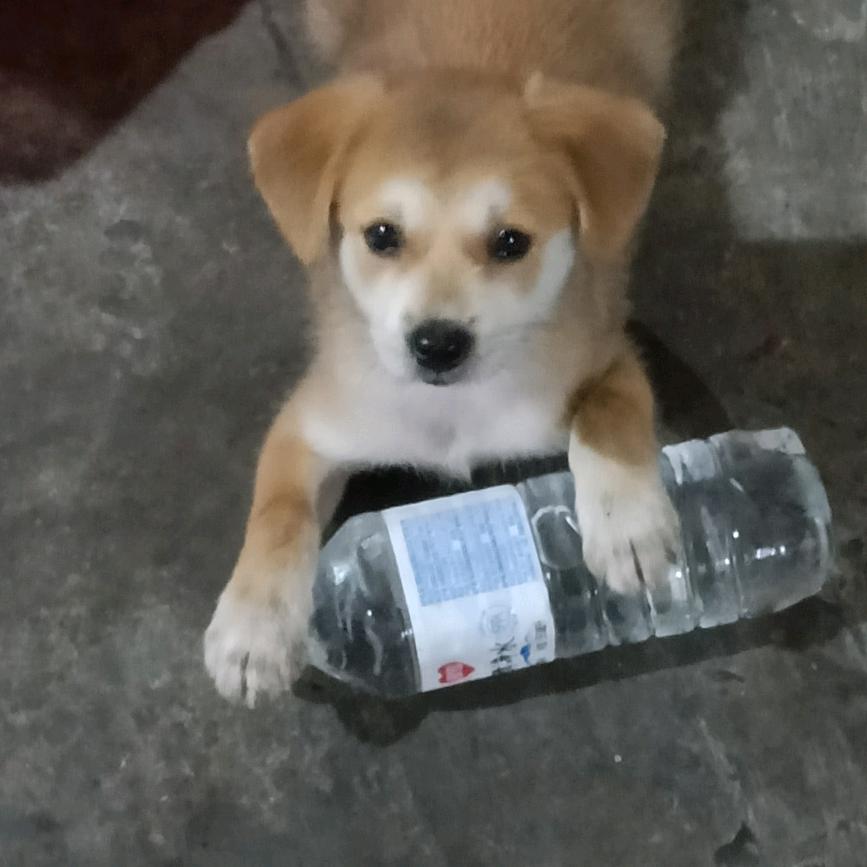 🌶🍒大老婆🍒🌶