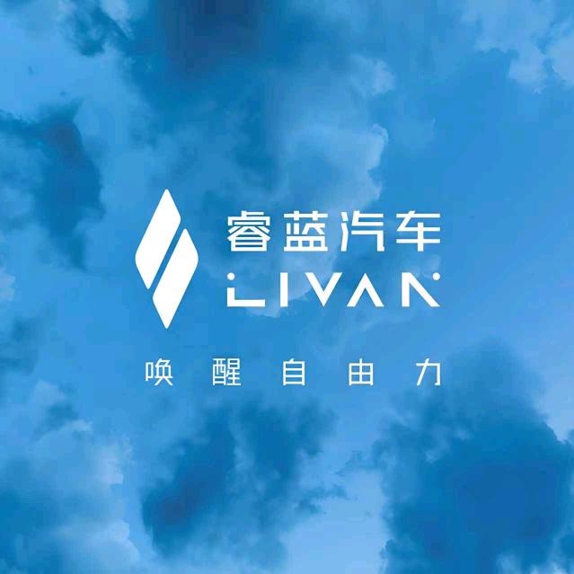 睿蓝汽车协合致诚店