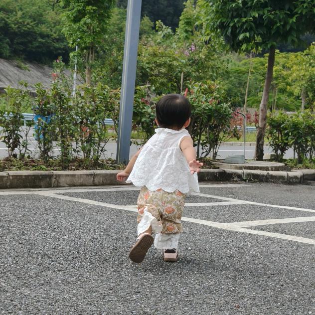 晚风辞