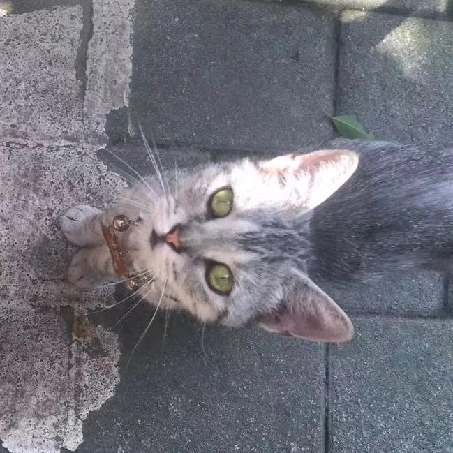 小莹滢莹莹莹滢滢-0.o