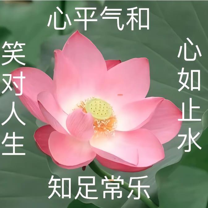 香芋嗝
