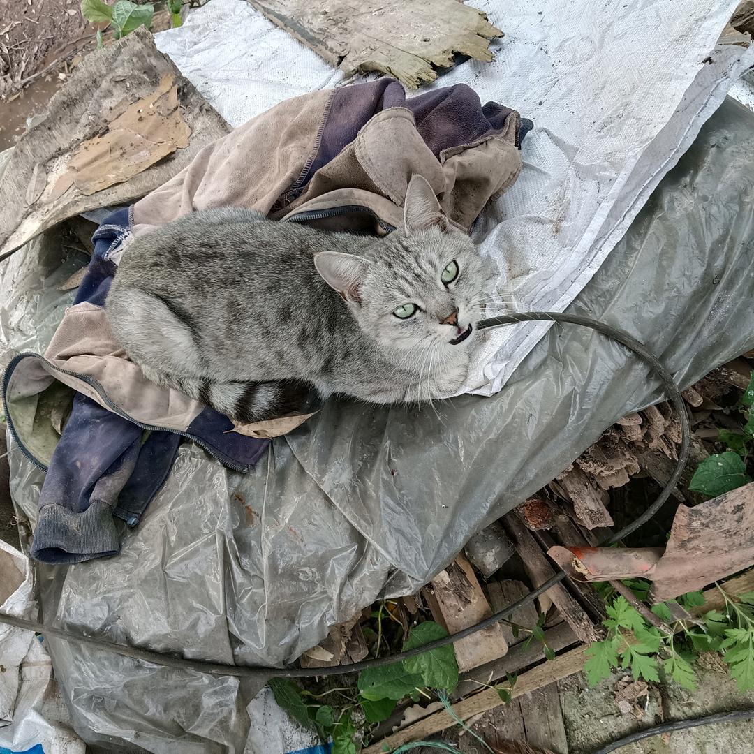 陈娅琳（四川资阳）