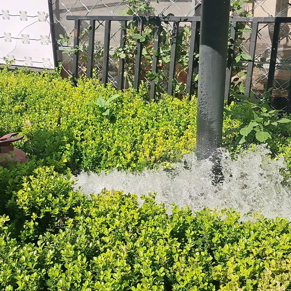 百善₍˄·͈༝·͈˄*₎◞ ̑̑孝为先