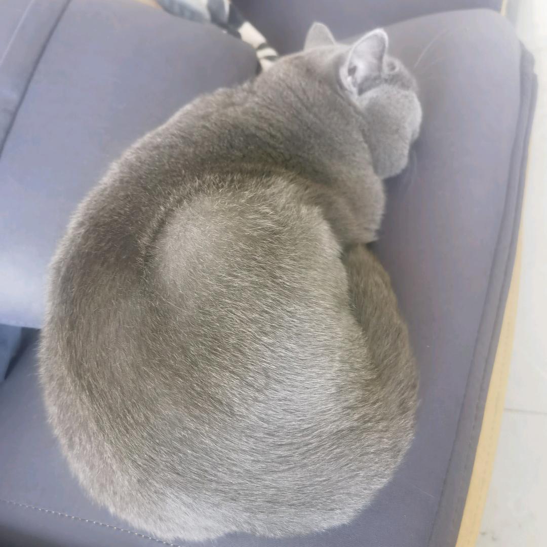胡来