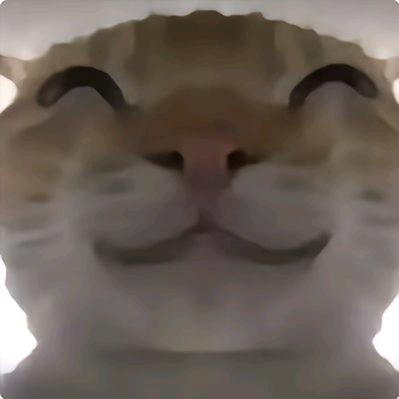 我行我早上了