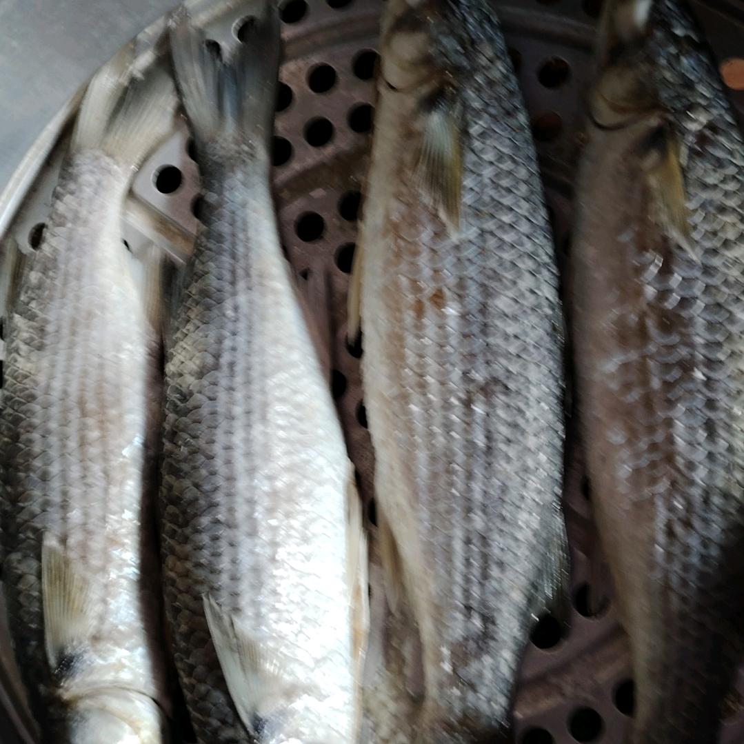 阿豐老牌新鲜熟鱼饭