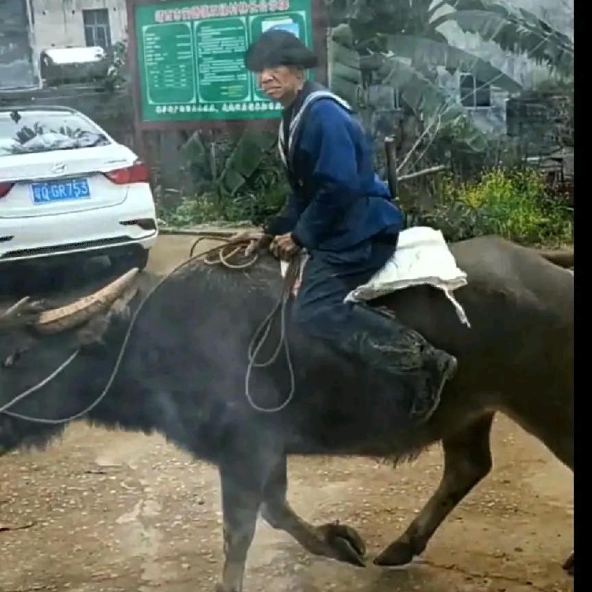 🚬᭄ཽ࿆简单٭大叔࿐