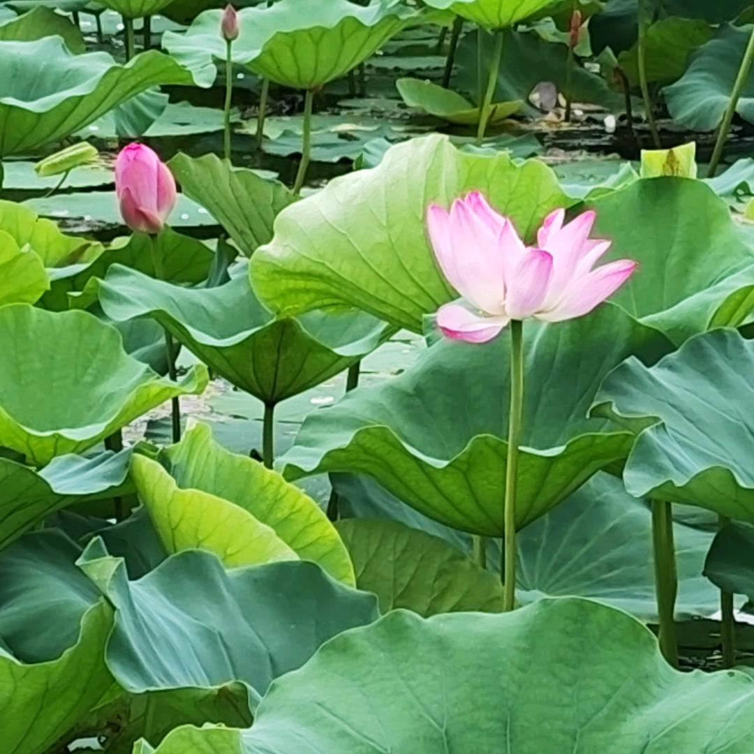 恰巧遇见