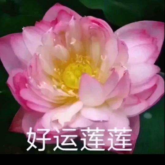 平安喜樂💰