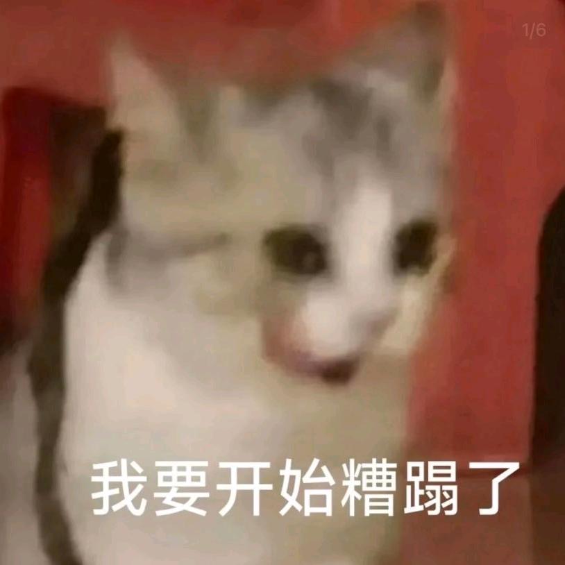 今天也要上班哟