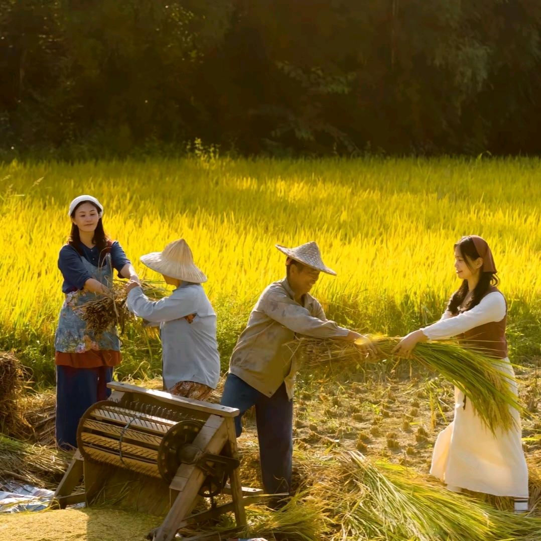 阿斌说农业🌾🌾🌾