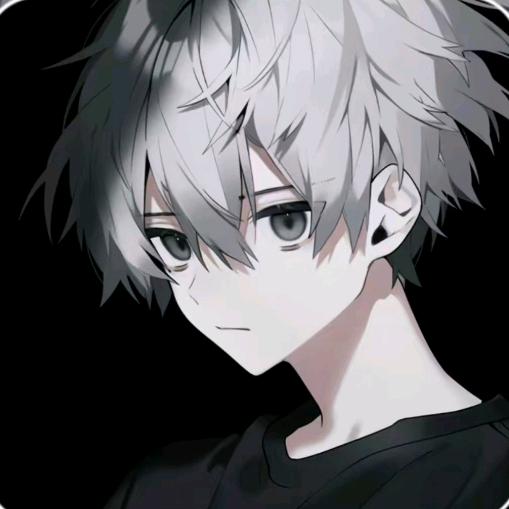 阿羽（国服韩信）