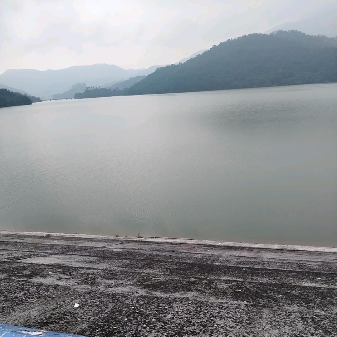 淡泊明志
