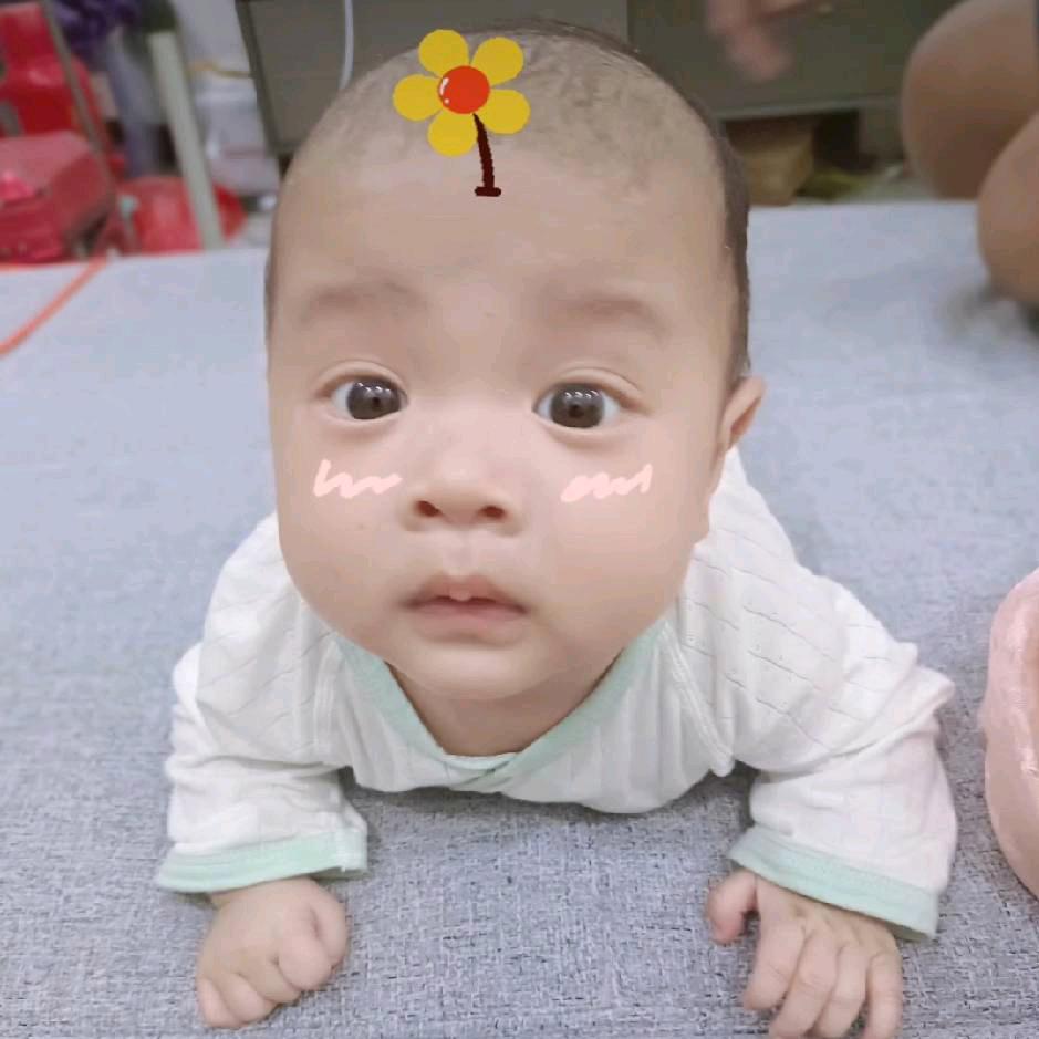 歆安