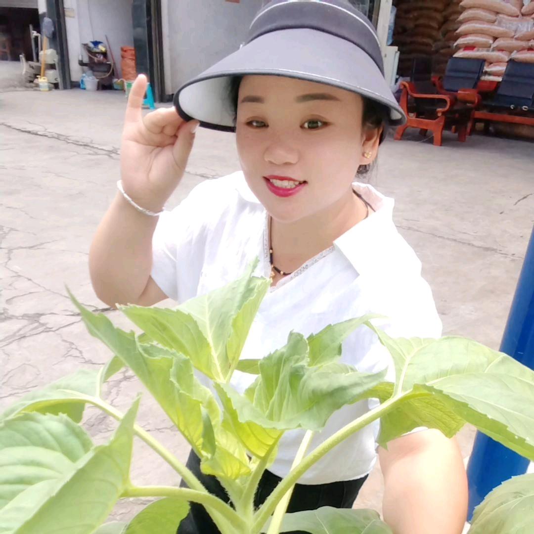 曾姑娘