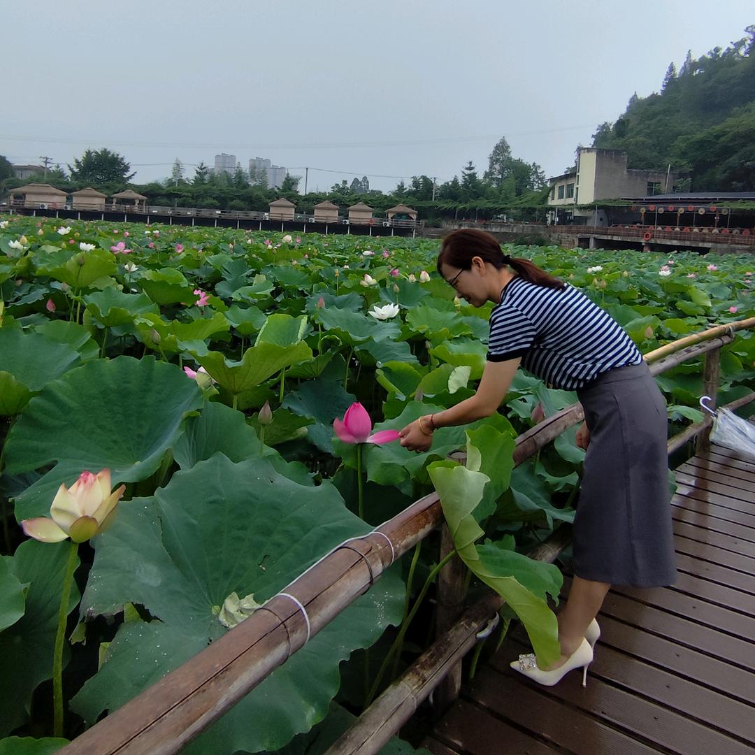 苦尽甘来🌹