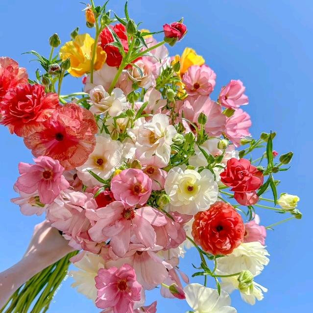 兴国开能全屋净水～连连子